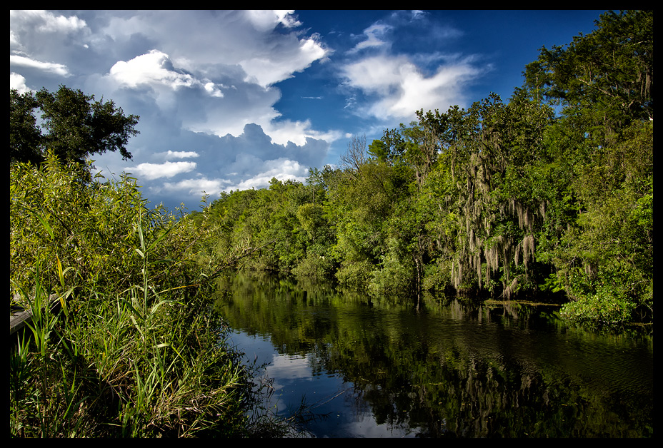 everglades