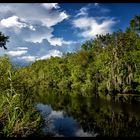 everglades