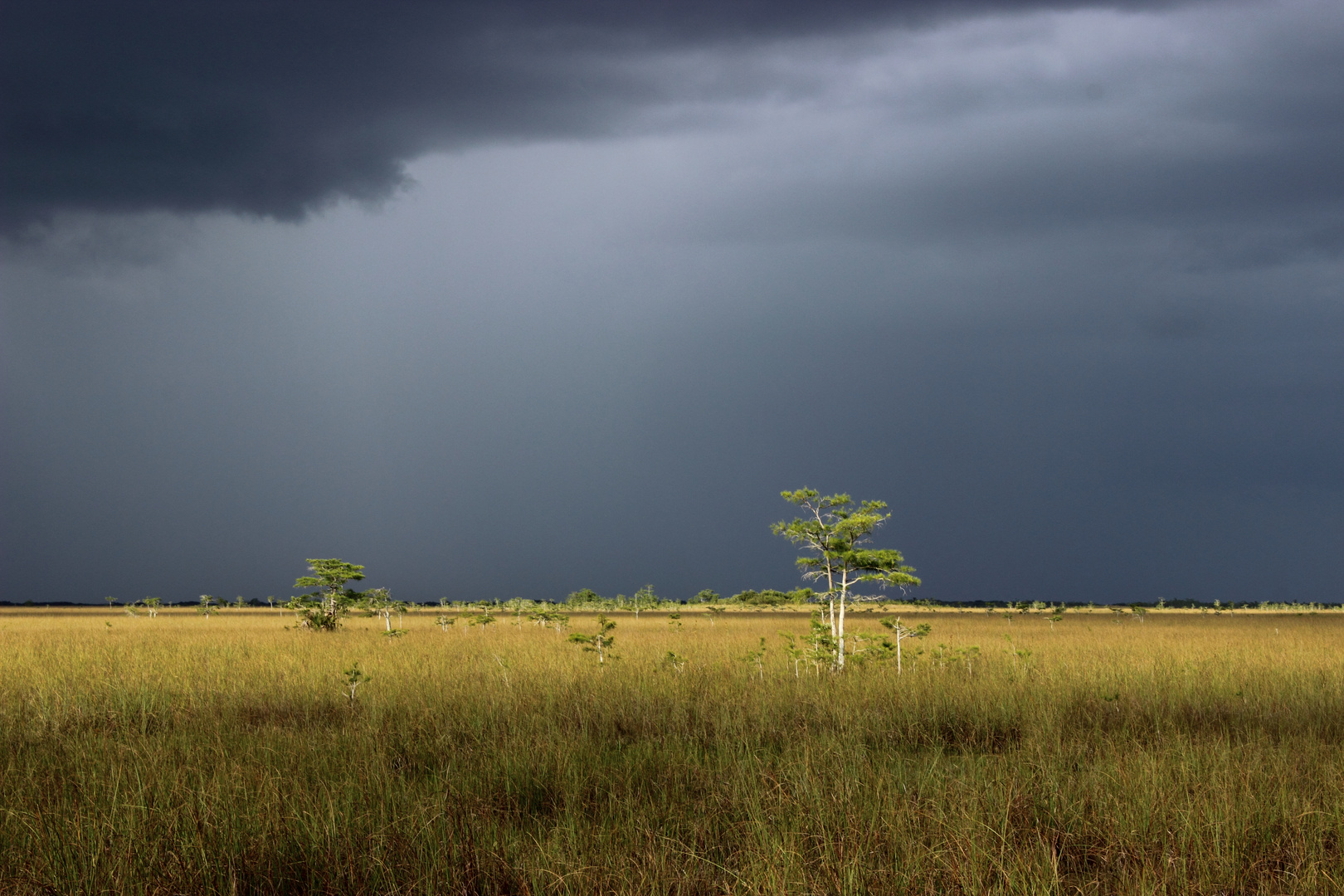 Everglades