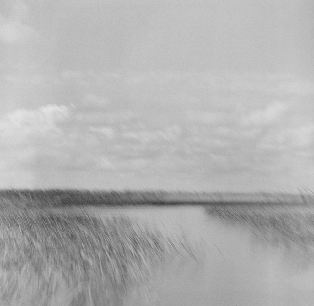 Everglades