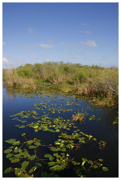 Everglades