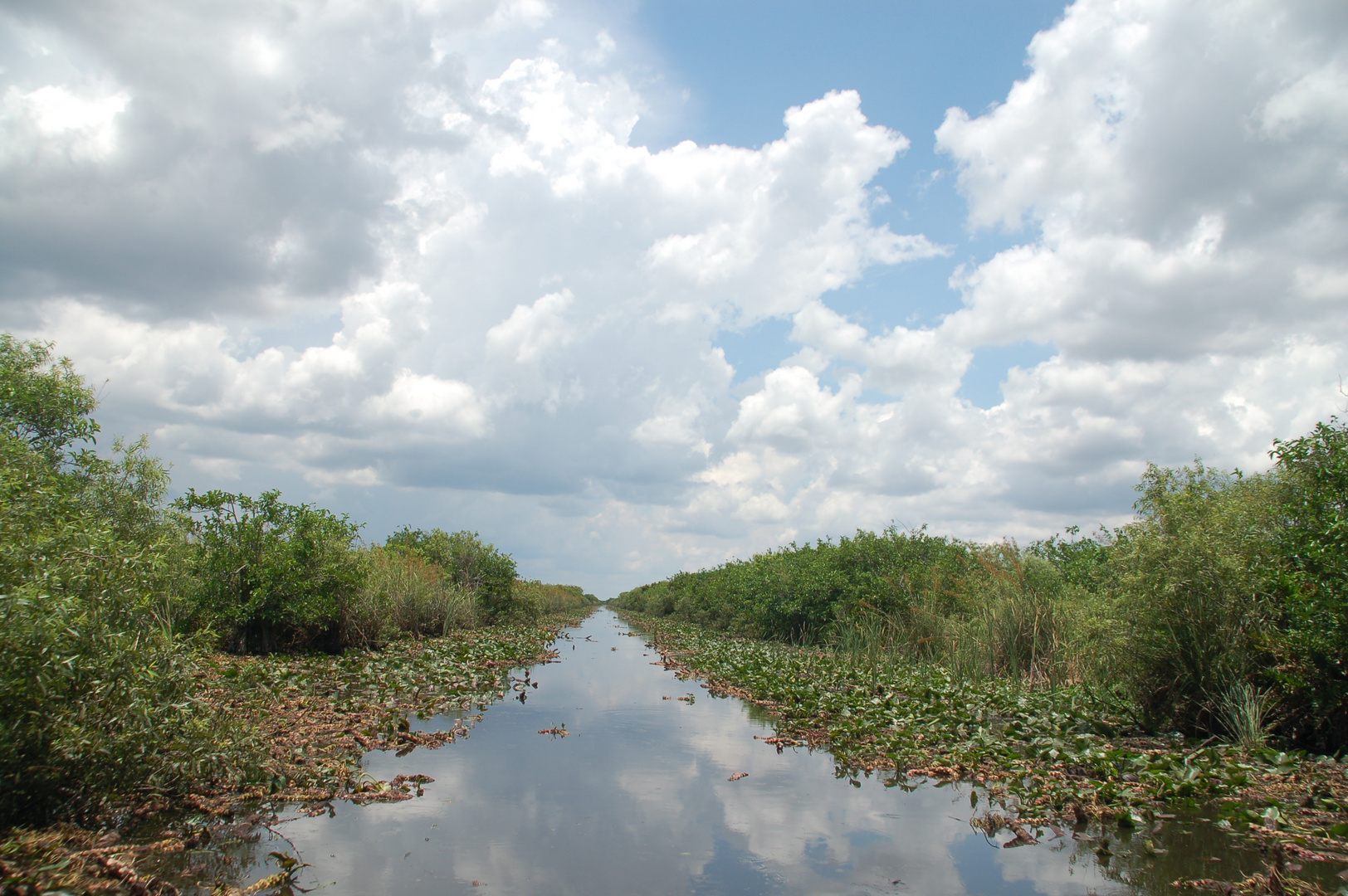 Everglades