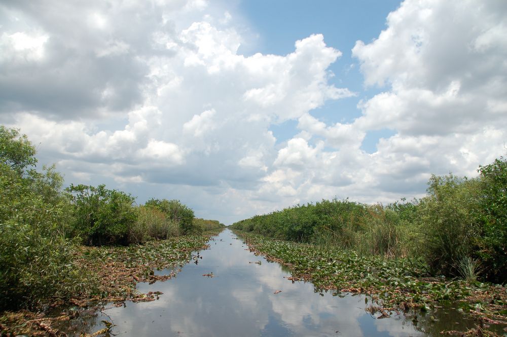 Everglades