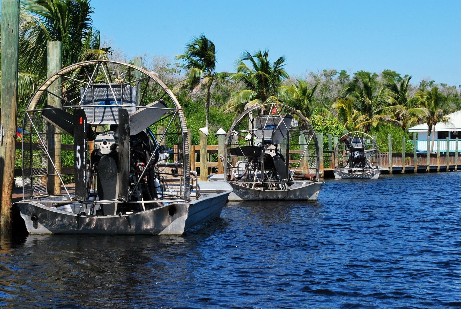 Everglades, Florida