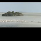 Everglades National Park - Flamingo - March 2012 - 01