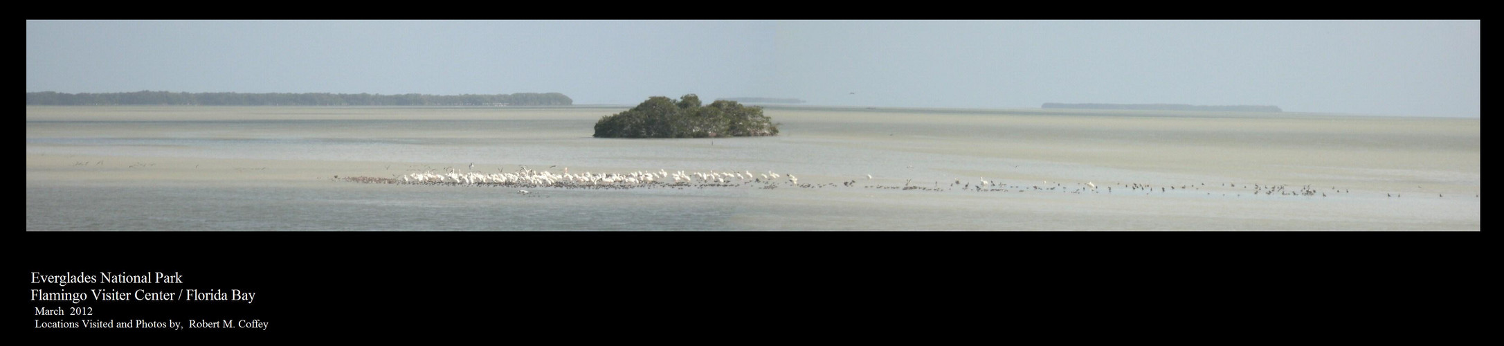 Everglades National Park - Flamingo - March 2012 - 01