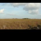 Everglades National Park - Pa hoy okee - March 2012 - 01