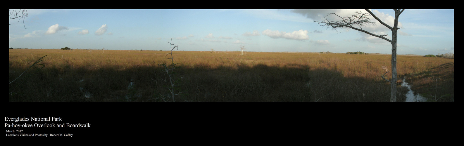 Everglades National Park - Pa hoy okee - March 2012 - 02