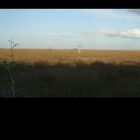 Everglades National Park - Pa hoy okee - March 2012 - 02