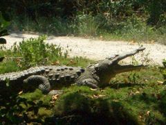 Everglades Nationalpark