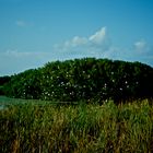 Everglades Nationalpark, FL - 1989