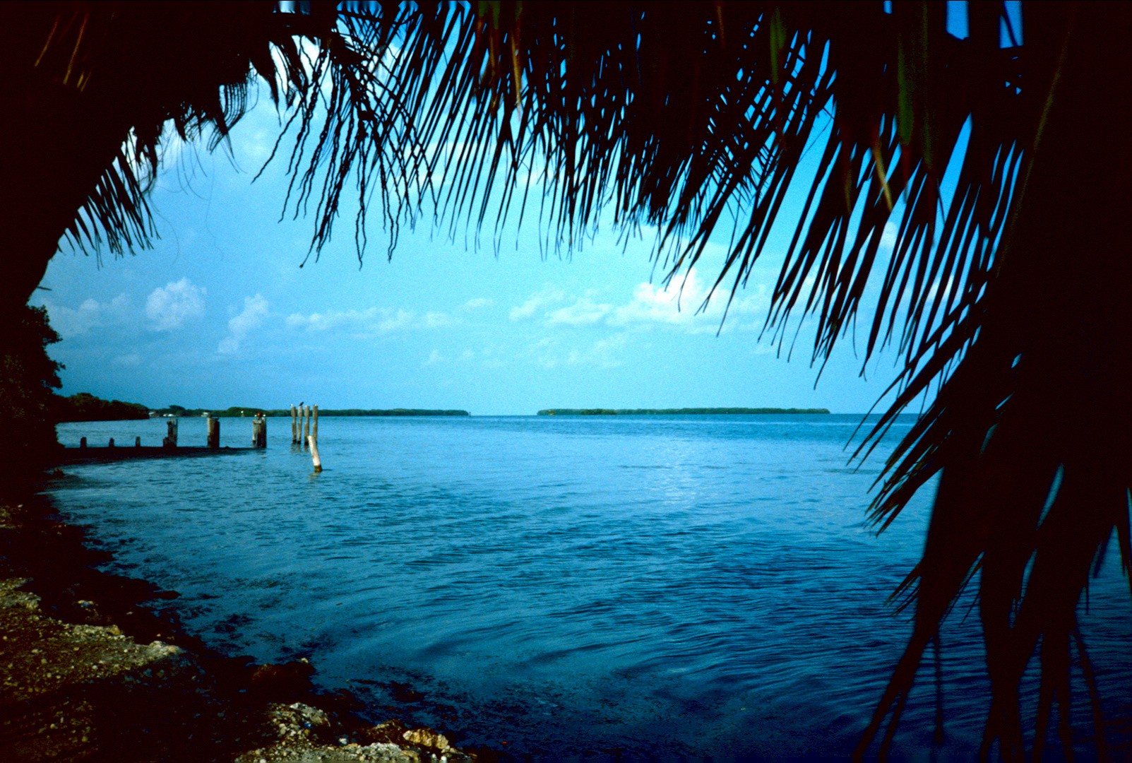 Everglades Nationalpark, FL - 1989