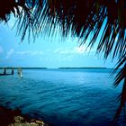 Everglades Nationalpark, FL - 1989