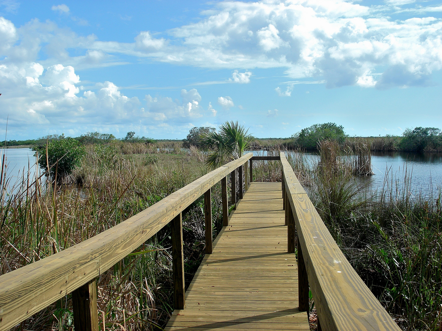 Everglades ponton