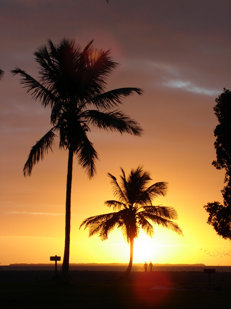 Everglades Sunset