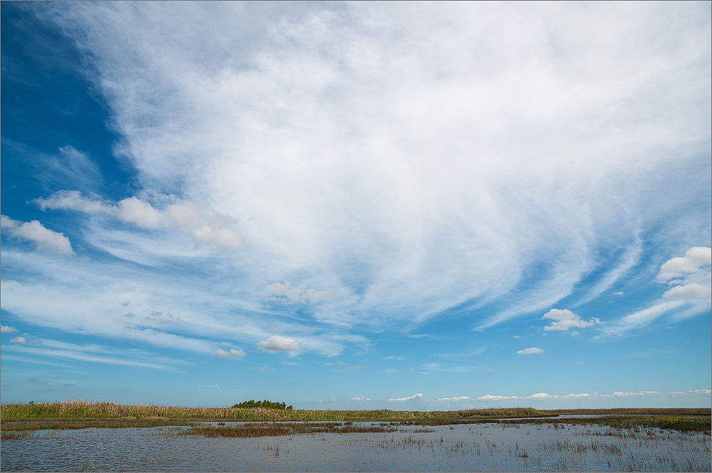 Everglades/Florida