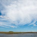 Everglades/Florida