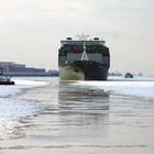 Evergreen Containerschiff "Ever Salute" elbaufwärts...