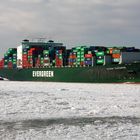 Evergreen Containerschiff "Ever Salute" elbaufwärts...10.02.2012