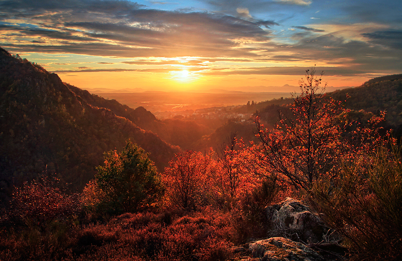 Everlasting Autumn .