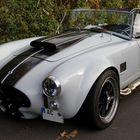 Everret Morris Cobra