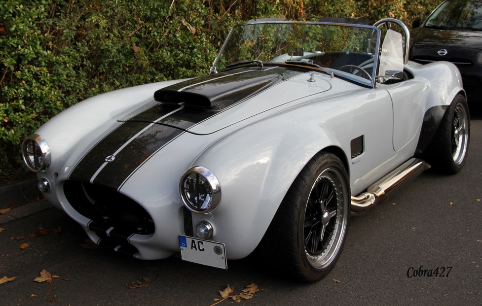 Everret Morris Cobra