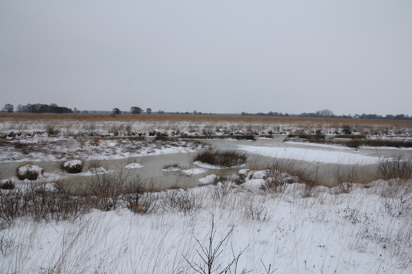 Eversmeer bei -8 Grad