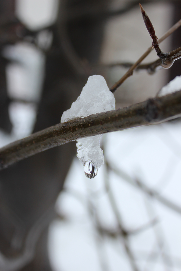 Every drop is a waterfall