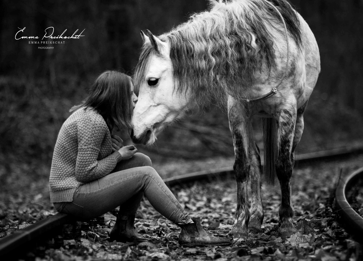"every girl has that one special horse that one horse who changes everything about them"