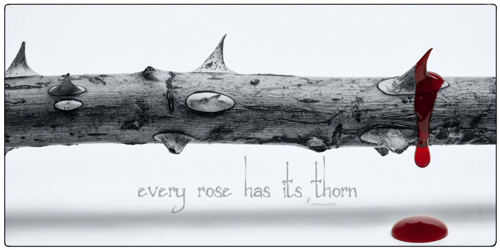 …every rose has its thorn