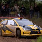 Evgeny Novikov