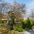 evgl. Friedhof-Hörde HDR