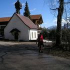 User Profile Photo