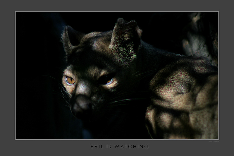 Evil is watching