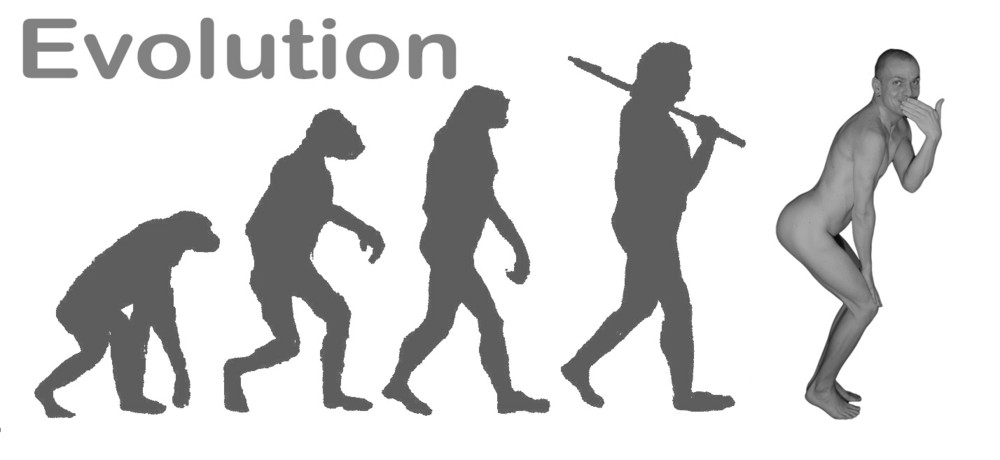 Evolution