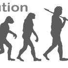 Evolution