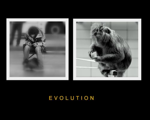Evolution