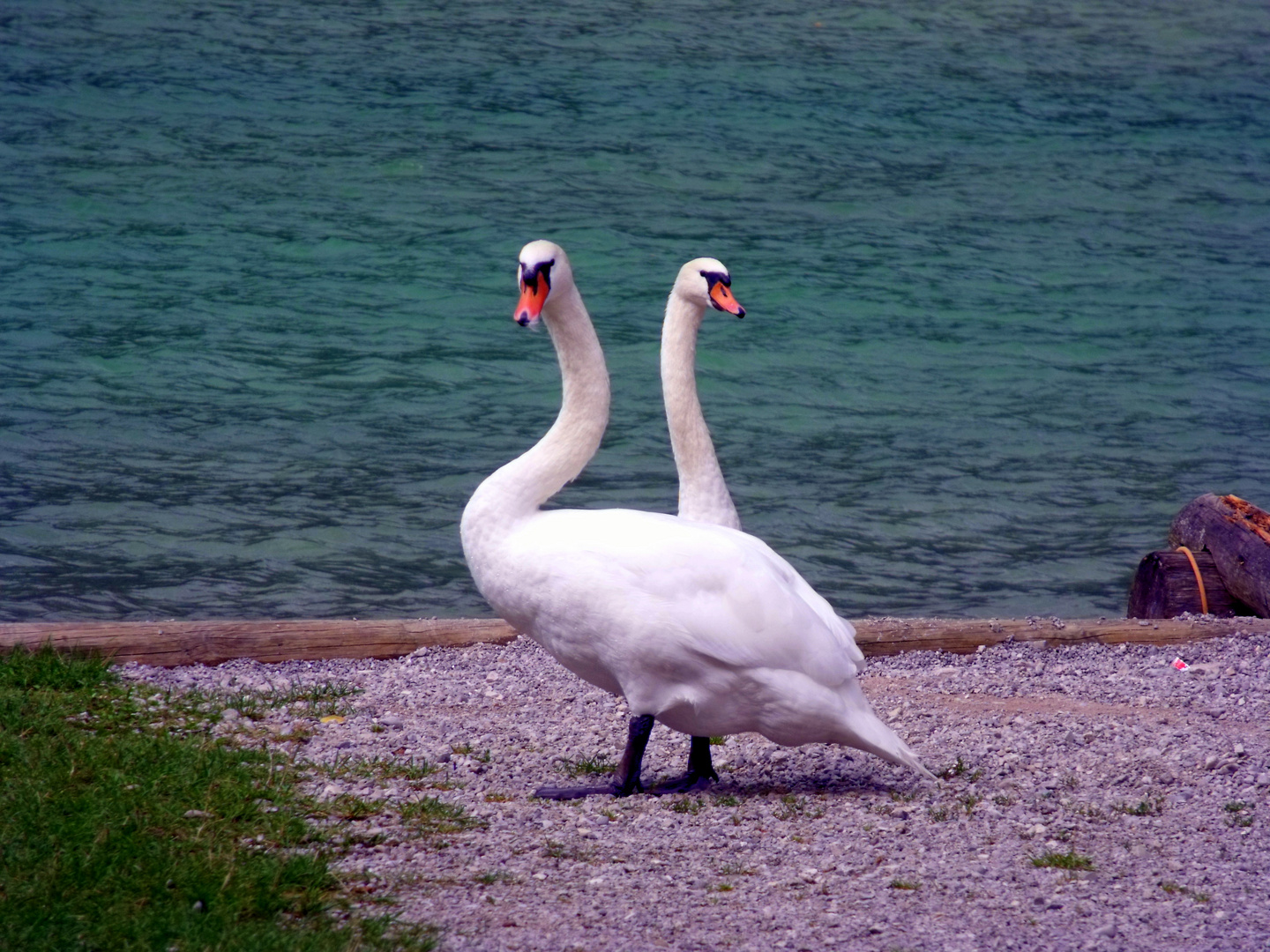 Evolution am Wolfgangsee - Sicherung nach allen Seiten