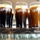 Evolution eines Guiness