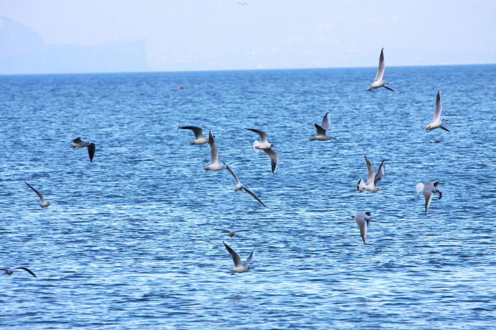 evulozioni nel cielo nel garda