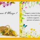 Evviva le DONNE......8 Marzo 2014