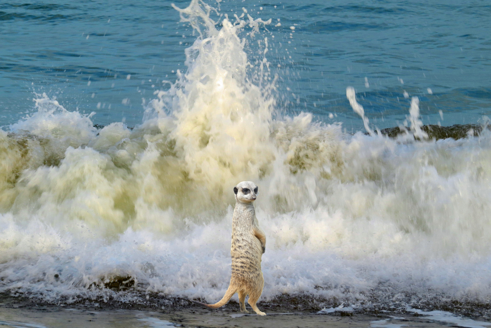 Ewald braucht keinen Schwimmreifen