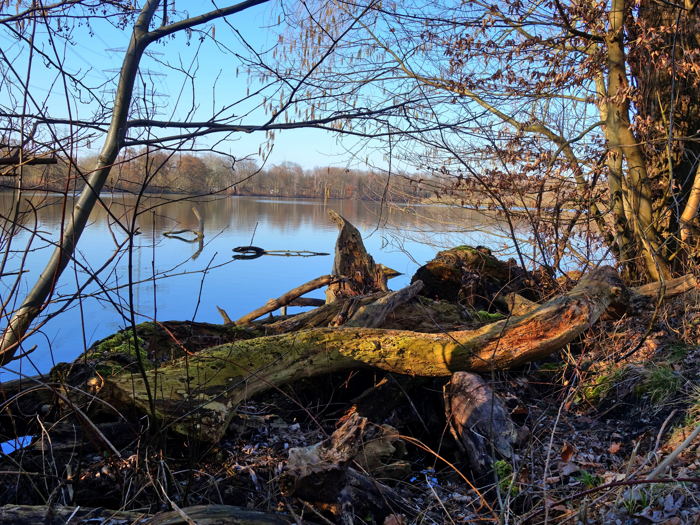 Ewaldsee in Gelsenkirchen Resser Mark