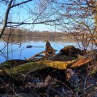 Ewaldsee in Gelsenkirchen Resser Mark