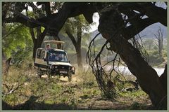 Ewaso Nigiro Fluß (Samburu National Reserve)