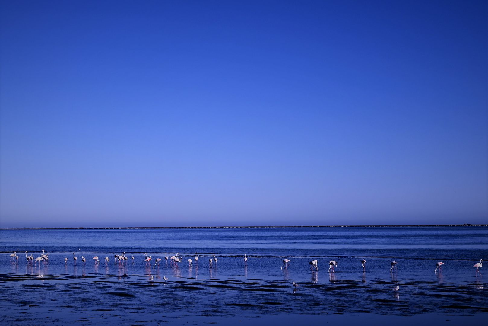 Ewig blauer Himmel in Namibia