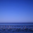 Ewig blauer Himmel in Namibia