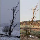 Ewig Winter .. (3), und vorbei