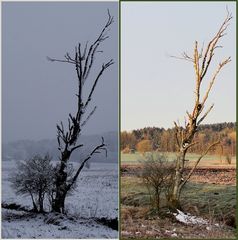 Ewig Winter .. (3), und vorbei