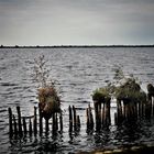 Ewigen Meer 